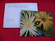 ZATWARSKI w tobie coś jest POCZTÓWKA DŹWIĘKOWA Ruch 1970 NOWA