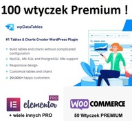 wpDataTables - Tables and Charts Manager WordPress