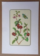 POCZTÓWKA - HELENA MATUSZEWSKA - grafika autorska, lata 70-te