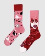 Skarpetki z kotami - Many Mornings Playful Cat - rozmiar 43-46