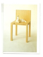 Karnet - Krzesło i rezydent, czyli Biały królik