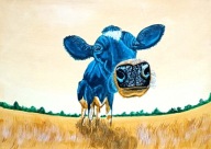 Obraz krowa 35x25 / 75 Patryk Mit