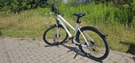 Rower crossowy Wheeler CROSS 6.3 L rama 52 cm koło 28 " biały 2024
