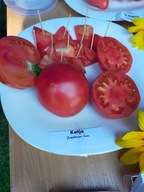 Pomidor Chlebosolnyj czerwono-malinowy rosyjski