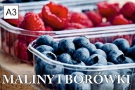 BANER SPRZEDAŻ BORÓWKI BORÓWKA MALINY 120X80 A3