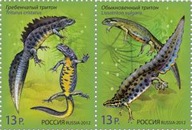 Rosja - Mi 1831/32 - Traszka