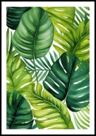 A2 PLAKAT DO SALONU SYPIALNI ŁAZIENKI ZIELONE LIŚCIE MONSTERY NR14