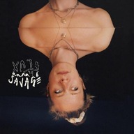 In FLUX Anna B Savage Winyl