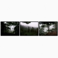 Zestaw plakatów - tryptyk las we mgle v1 3*40x30cm