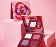 Mary Kay Paleta Cieni do Powiek - WYPRZEDAŻ MAGAZYNU
