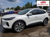 Ford Kuga 2024, 2.0L, 4x4, PLATINUM, po gradobiciu 2.0 Benzyna 250KM