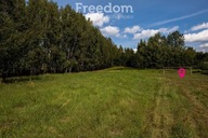 Działka, Potok, Rakszawa, Łańcucki, 8100 m²