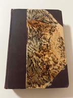 Antoni i Mikołaj Mazanowscy Podręcznik do dziejów literatury polskiej 1920