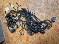 Wiązka główna ducati hypermotard 821