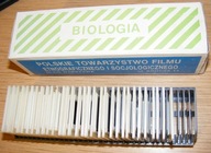 ROŚLINY OKRYTONASIENNE SLAJDY Z MAGAZYNKIEM