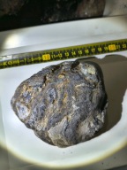 Skamieliny, muszle, kamienie, minerały