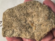 Skamieliny minerały koralowce