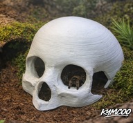 Czaszka kryjówka do terrarium skorpiony pająki małe jaszczurki rozmiar XL