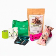 Box dla psa seniora, prezent dla psa