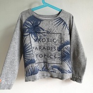 Basic bluza dresowa wiosna JESIEŃ Alive 122 128 sportowa unisex (238)