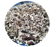 Wszewłoga Górska Meum Athamanticum Korzeń 100g