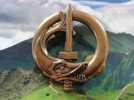 ODZNAKA WOJSKOWA -FRANCJA