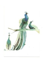 Pocztówka - Pawie w turkusach i lazurytach ...