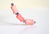 KORAL NATURALNY koralowiec różowy tulipan Tulipany 3szt