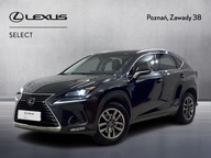 Lexus NX 300 Prestige AWD I (2014-2021) Lexus NX 3