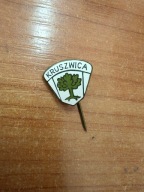 przypinka Kruszwica herb miasta
