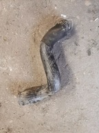 VOLVO V60 S60 PRZEWÓD INTERCOOLERA 30741795