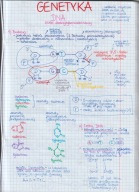 NOTATKI MATURALNE Z BIOLOGII cz. 4 - 4-letnie liceum