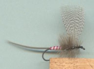 Sucha muszka JĘTKA MAJOWA POPIELATA - #8; 10; 12