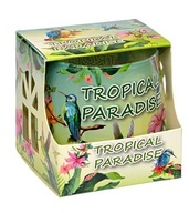 Świeca dekoracyjna parafinowa TROPICAL PARADISE Adpal 20 h produkt polski