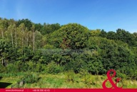 Działka, Czapielsk, Kolbudy, Gdański, 2000 m²