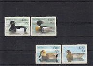 Fauna, ptaki, Irlandia, **