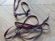 SMYCZ I SZELKI spacerowe dla kota KOT Oh My Pet