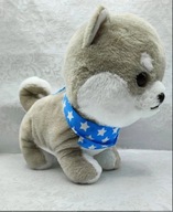 Mameshiba Three Brothers świetna japońska maskotka piesek Husky 30cm