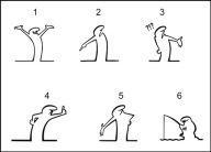 Naklejka na auto BALUM LA LINEA HIPEK