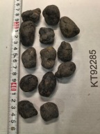 Skamieliny, minerały, tektyty 13 sztuk duże