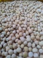 Groch 10 kg Dla Gołębi Ptaków Zanęta Na Ryby Czysty Suchy Naturalny