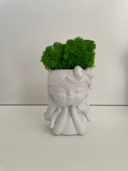 Doniczka betonowa z chrobotkiem, dekoracja, prezent