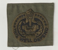 Armia USA naszywka sierzanta szkoleniowego Haft 8x8 cm