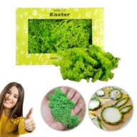 MECH CHROBOTEK TRWAŁY ZIELONY WIELKANOC DEKORACJA NA KOSZYK WIELKANOCNY