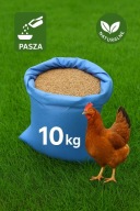 10 KG PSZENICA ZIARNO pasza dla drobiu ,trzody, gołębi