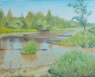 ZIELEŃ I WODA obraz olejny na płótnie 50X40