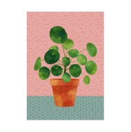 Plakat „Pilea Plant” – Minimalistyczny Plakat Roślinny