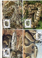 A41576)WWF-Maximum Karty Gady i Plazy: Benin 1159 - 1162