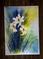 KWIATY (182) dla 884 Skubalskich