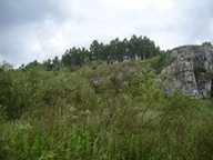Działka, Rączna, Liszki, Krakowski, 5500 m²